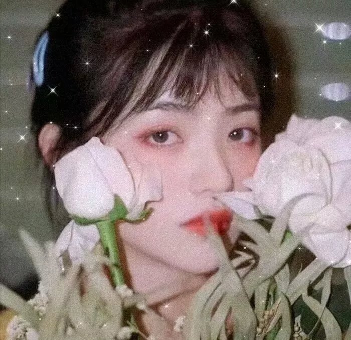 犬心犬意