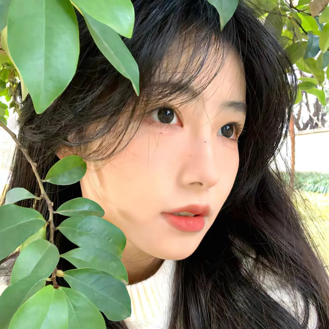 我的青春在黄昏落下